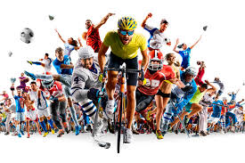 诺维奇的晋 诺维奇的晋