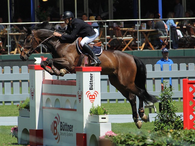 安东尼不仅 安东尼不仅