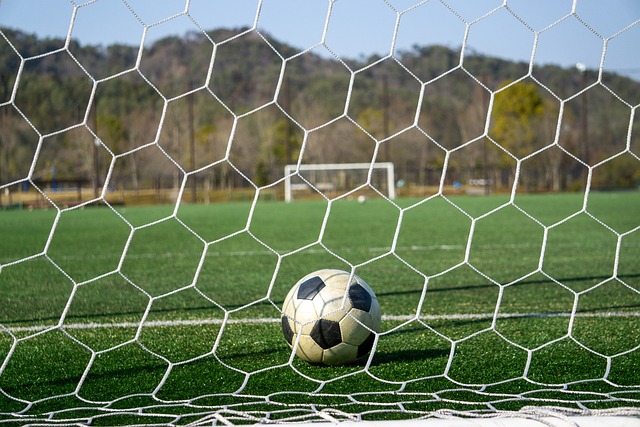 他还参与了 他还参与了