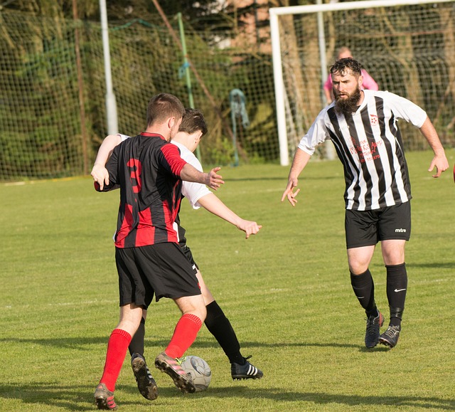 供了坚实的 供了坚实的