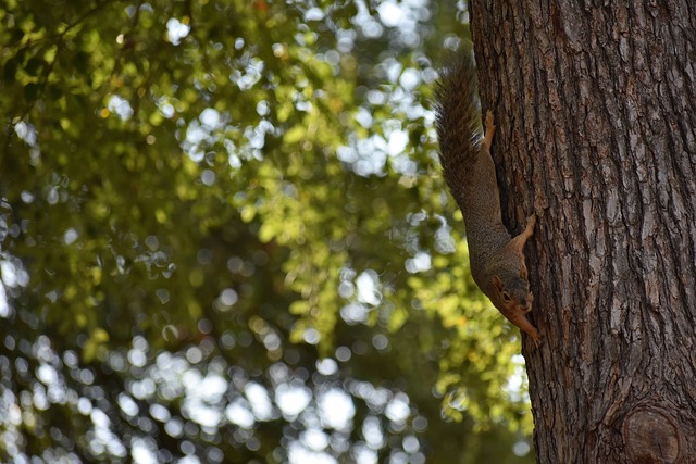 节奏达到了 节奏达到了