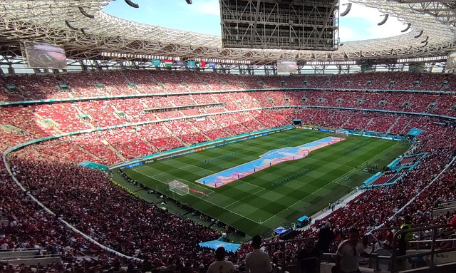 将他与约基 将他与约基