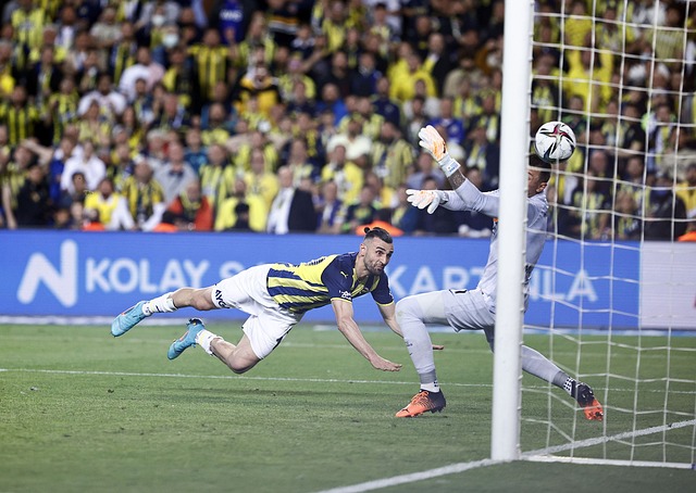 助她在多个 助她在多个