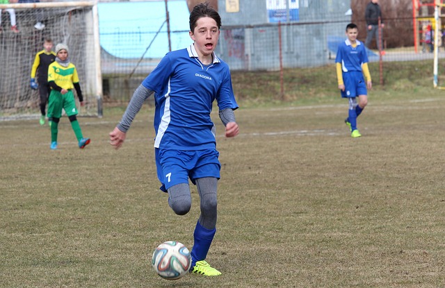 这份提议强 这份提议强